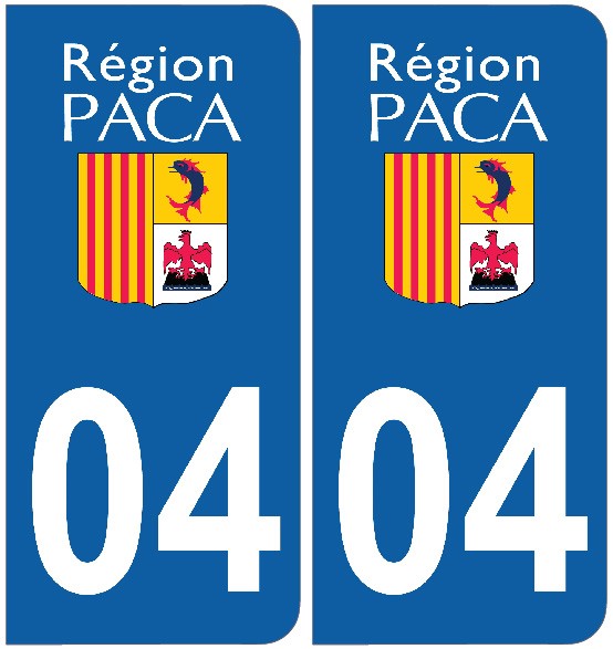 2 Stickers autocollant plaque d'immatriculation PSG - Art Déco